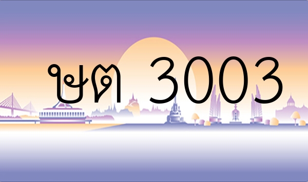 ษต 3003